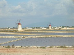 17) 01 Novembre 2005 - Marsala-Mozia